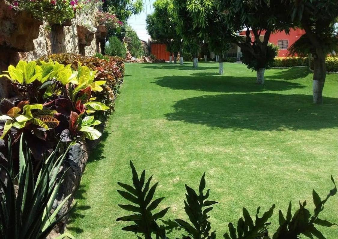 Cabana Roca *
